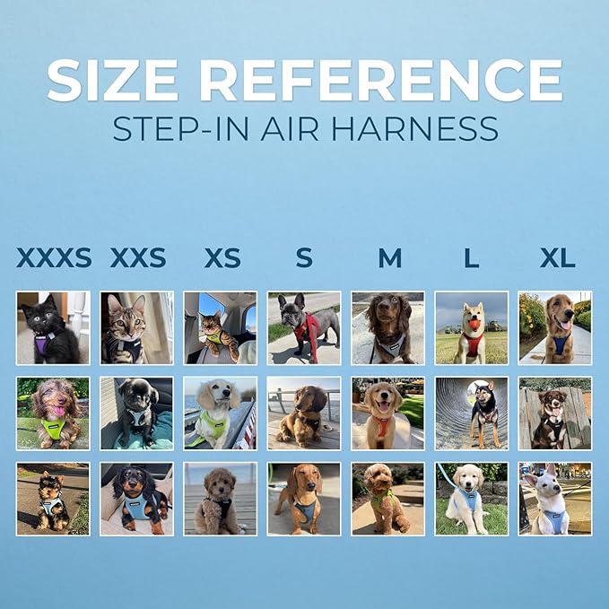 Best Pet Supplies Voyager Step-in Air Harness - Image 6
