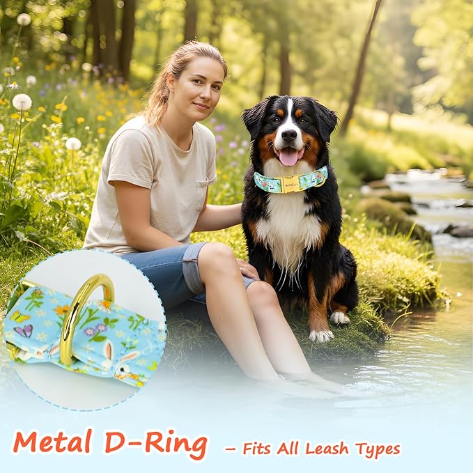 Easter Dog Collar for Medium Dogs, Easter & Spring Theme Medium Dog Collar - Image 7