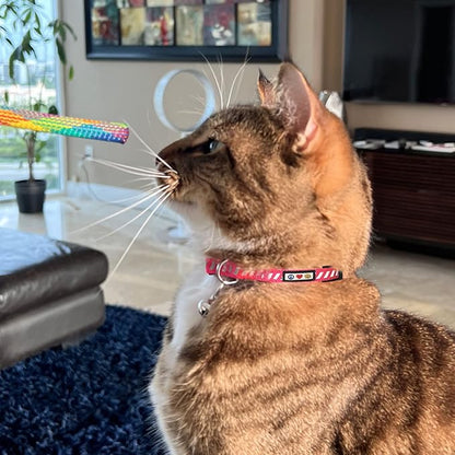 Pawtitas Personalized Pink Reflective Cat Collar – Adjustable Custom Collar - Image 9