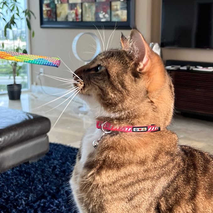 Pawtitas Personalized Green Reflective Cat Collar – Adjustable Custom Collar - Image 9