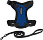 Voyager Escape-Proof Step-in Lock Cat Harness & 5ft Neoprene-Handle Leash Set by BestPetSuppliesLLC