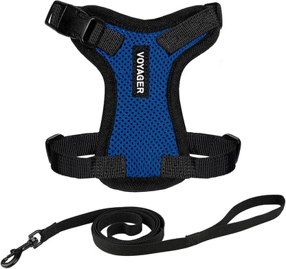 Voyager Escape-Proof Step-In Lock Cat Harness & 5ft Neoprene-Handle Leash Set by BestPetSuppliesLLC
