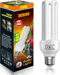 GlowUp 2.4% UVB Bulb for Birds, 20W Compact Fluorescent Light Bulb UVA UVB by GlowUp