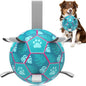QDAN Dog Toys Soccer Ball, Tug of War Toy, Puppy Birthday Gifts, Water Toy by QDAN