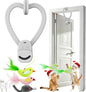 Interactive Cat Toys for Indoor Cats: Automatic Flying Bird Feather Wand Chase by Unknown