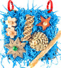 KATUMO Conure Toys, Bird Foraging Toys Parakeet Shredding Grass Mat Hanging Toys by KATUMO
