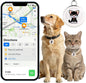 Smart GPS Tracker for Dogs|mini Easy to use Cat GPS Tracker|Waterproof and by NGXDFL
