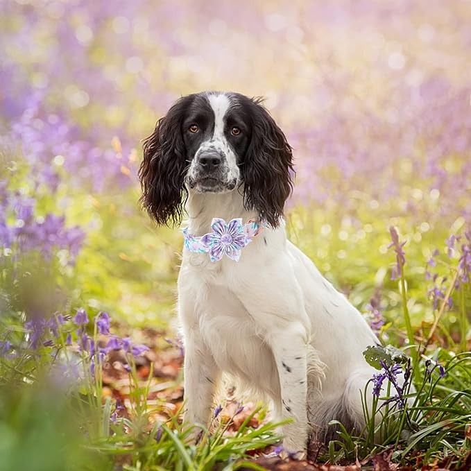 Lionheart Glory Cute Floral Pattern Adjustable Dog Collar - Image 5