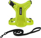 Voyager Escape-Proof Step-in Lock Cat Harness & 5ft Neoprene-Handle Leash Set by BestPetSuppliesLLC