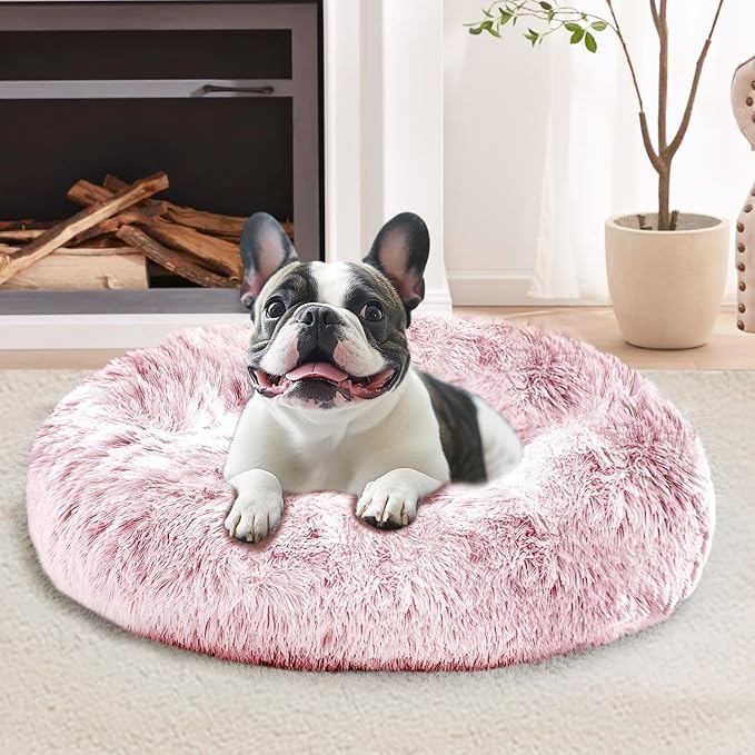 JOLLYVOGUE Calming Small Dog & Cat Bed by JOLLYVOGUE