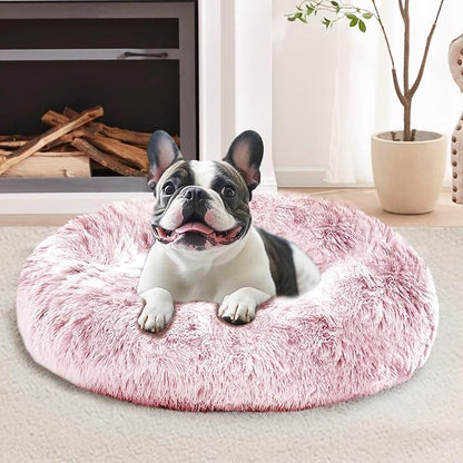 JOLLYVOGUE Calming Small Dog & Cat Bed by JOLLYVOGUE