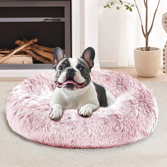 JOLLYVOGUE Calming Small Dog & Cat Bed by JOLLYVOGUE