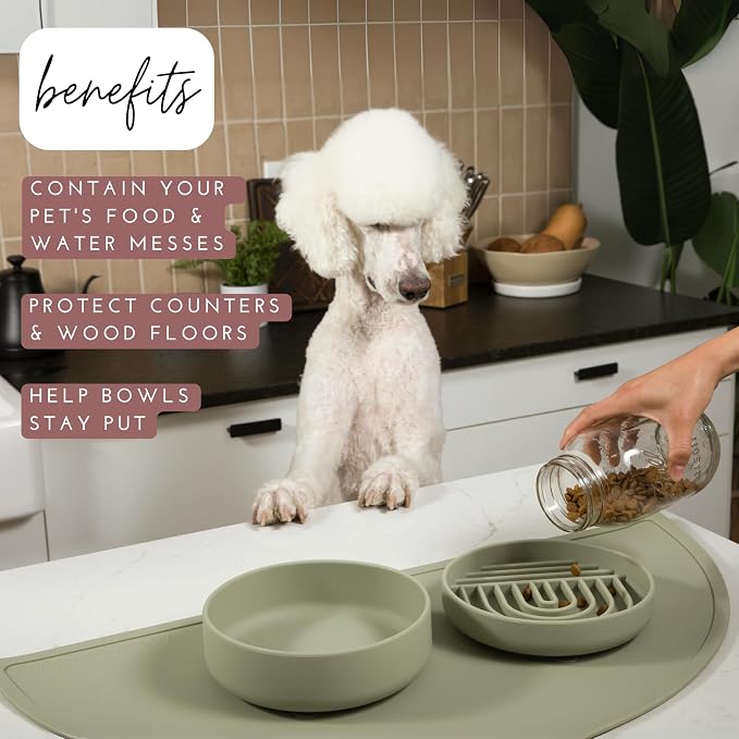 Should We Go - Waterproof Silicone Pet Food Mat - Non-Slip Spill-Proof Feeding - Image 2