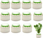 12 Pack Aquarium Plant Weights, Aquatic Plants Fixed Ring Set, Anti-Floating by SimpleLifeRicherHeart