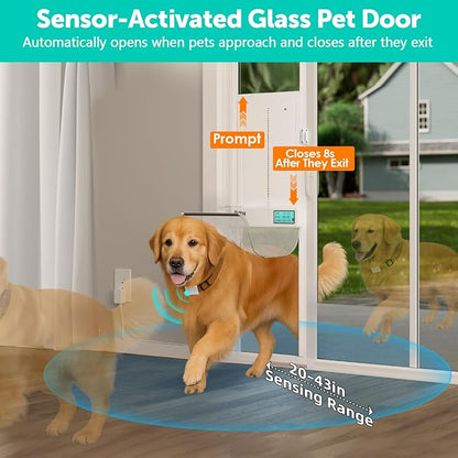 Automatic Sliding Glass Dog Door - Image 3
