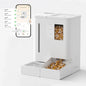 Waithem Wi-Fi Automatic Pet Feeder and Waterer by WaithemPetOfficial