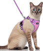 rabbitgoo Cat Harness and Leash Set, Escape Proof Soft Adjustable Vest Harnesses by rabbitgoo