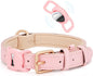WHIPPY Airtag Leather Dog Collar GPS Tracker Air Tag Puppy Collar Adjustable by WHIPPY