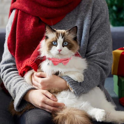 Sliverdew 2 Pcs Velvet Cat Bow Tie Collar Breakaway Cat Collar - Image 4