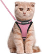 rabbitgoo Cat Harness and Leash Set by rabbitgoo