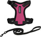 Voyager Escape-Proof Step-in Lock Cat Harness & 5ft Neoprene-Handle Leash Set by BestPetSuppliesLLC