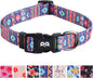 QQPETS Adjustable Soft Dog Collar: Print Flower Pink Multicolor Cute Patterns by QQPETS