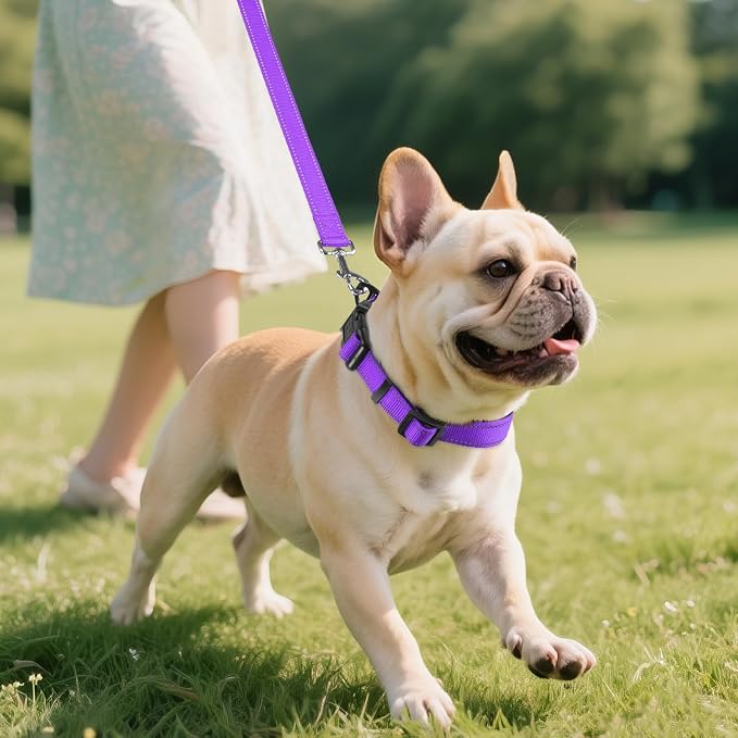 Joytale Reflective Dog Collar, Soft Neoprene Padded Breathable Nylon Pet Collar - Image 6