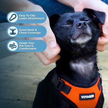 Voyager Step-in Pet Harness - Image 3