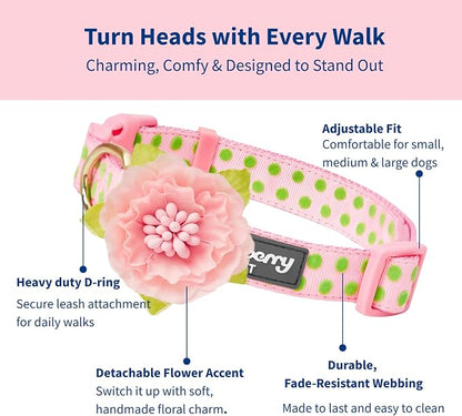 Blueberry Pet Adjustable Flocking Dog Collar - Image 2