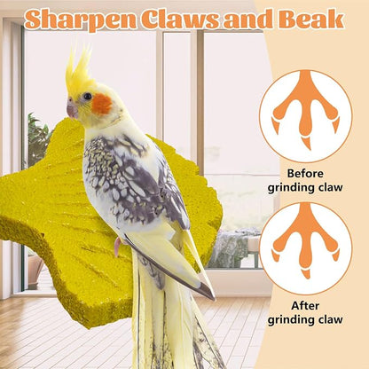 3 Pcs Parrot Perch Resin Bird Beak Grinding Stone Leaf Shape Perch Stand Foot - Image 5