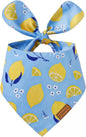 Luxury Double-Layer Dog Birthday Bandana – Handmade, Silk-Soft Polyester by Qxsnuvvlg