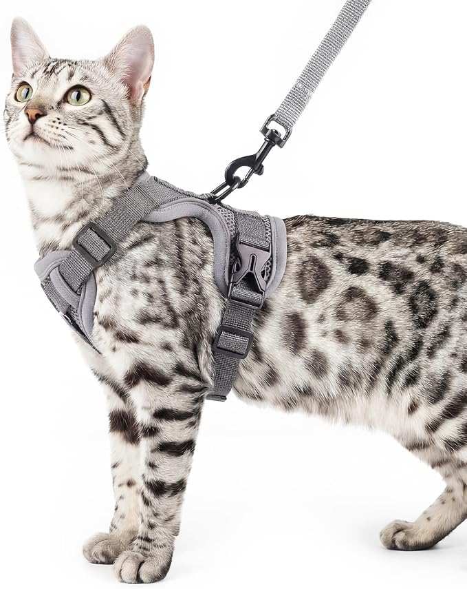Cat Harness and Leash Set Escape Proof Tactical Medium Kitten Harness Emotional by pangdi