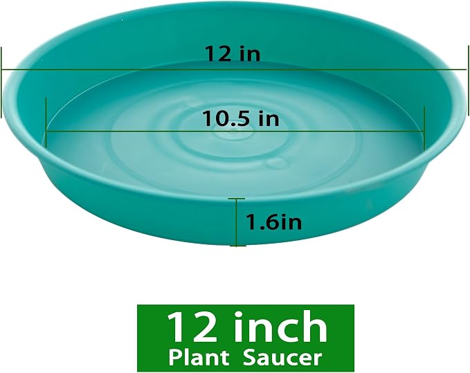 2 Pack of Bird Bath Bowl 12", 1.6" Depth, 10 12 inch Birdbath Bowls Dish Only - Image 2