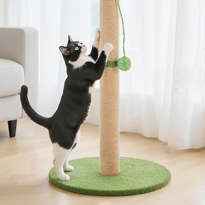 DUMOS Small 33inch Cat Scratching Post - Image 5