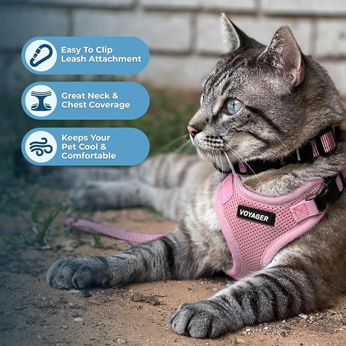 Voyager Escape-Proof Step-in Lock Cat Harness & 5ft Neoprene-Handle Leash Set - Image 5