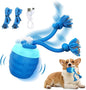 Interactive Dog Toys, Interactive Dog Ball by Huimpet