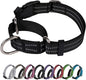 Martingale Dog Collar, Adjustable Nylon Reflective Collar by JOYEEIIOO