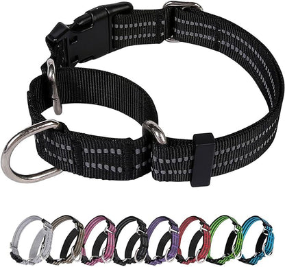 Martingale Dog Collar, Adjustable Nylon Reflective Collar by JOYEEIIOO