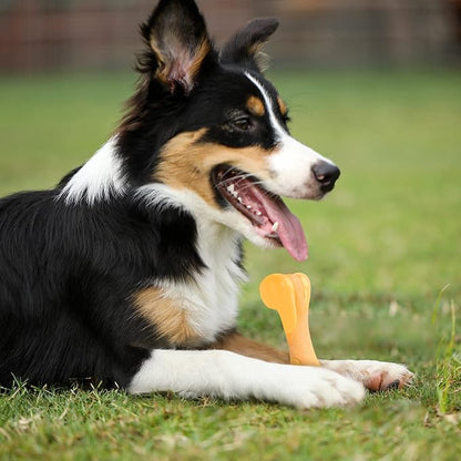 Tikaton Dog Chew Toys for Aggressive Chewers, Chicken Flavor Durable Dog - Image 5