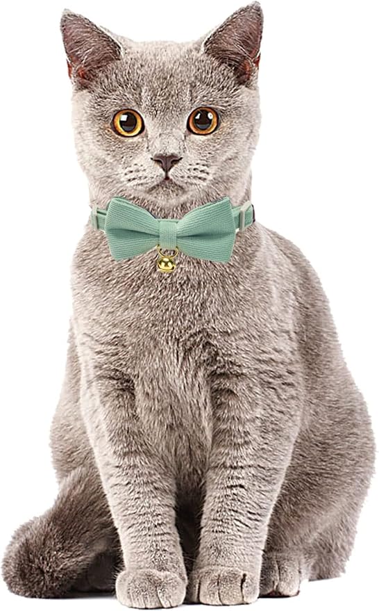 Cotton Breakaway Kitten Collar - Image 3