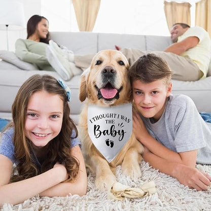 Pregnancy Announcement Dog Bandana I Thought I was The Baby Gender Reveal Dog - Image 4