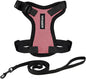 Voyager Escape-Proof Step-in Lock Cat Harness & 5ft Neoprene-Handle Leash Set by BestPetSuppliesLLC