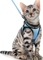 rabbitgoo Cat Harness and Leash Set by rabbitgoo