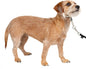 PetSafe Gentle Leader Headcollar No-Pull Dog Collar by PetSafe