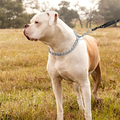TagME Chain Choke Collar for Dogs, Adjustable Weather Proof Necklace for Medium - Image 6