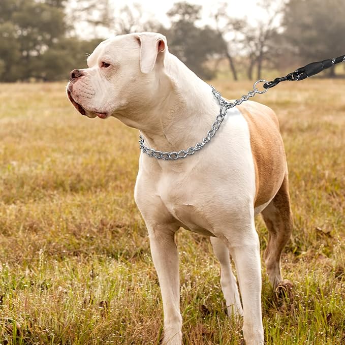 TagME Chain Choke Collar for Dogs, Adjustable Weather Proof Necklace for Extra - Image 6