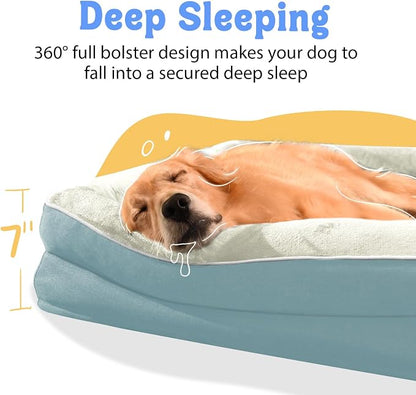 Orthopedic Foam Large Dog Bed XLarge Dog Bed - Image 3