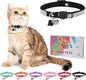 Rhinestone Cat Collar Breakaway by DILLYBUD