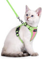 rabbitgoo Cat Harness and Leash Set, Escape Proof Soft Adjustable Vest Harnesses by rabbitgoo