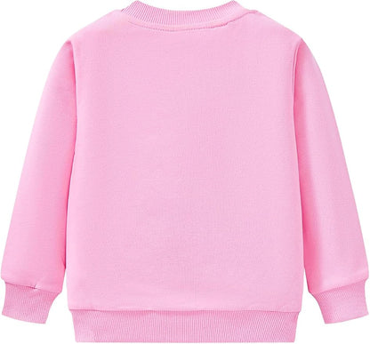 Toddler Baby Girls Cotton Sweater, Long Sleeve Crewneck Sweatshirt Pullover - Image 9